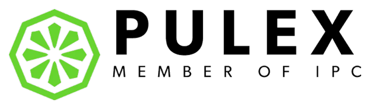 Pulex